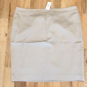 Loft Pencil Skirt